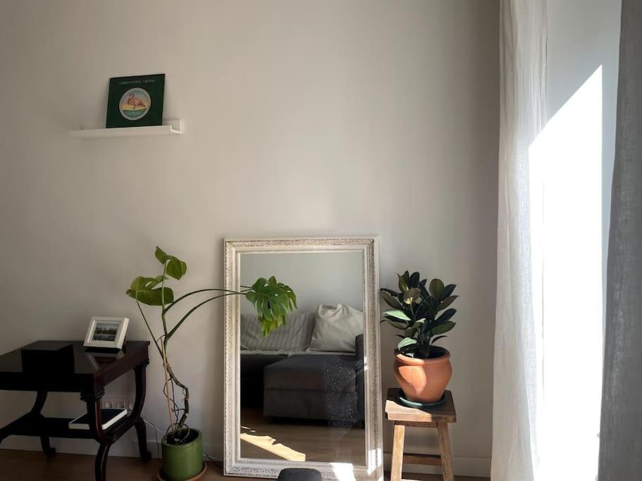סן סבסטיאן Bella Easo Apartamento מראה חיצוני תמונה